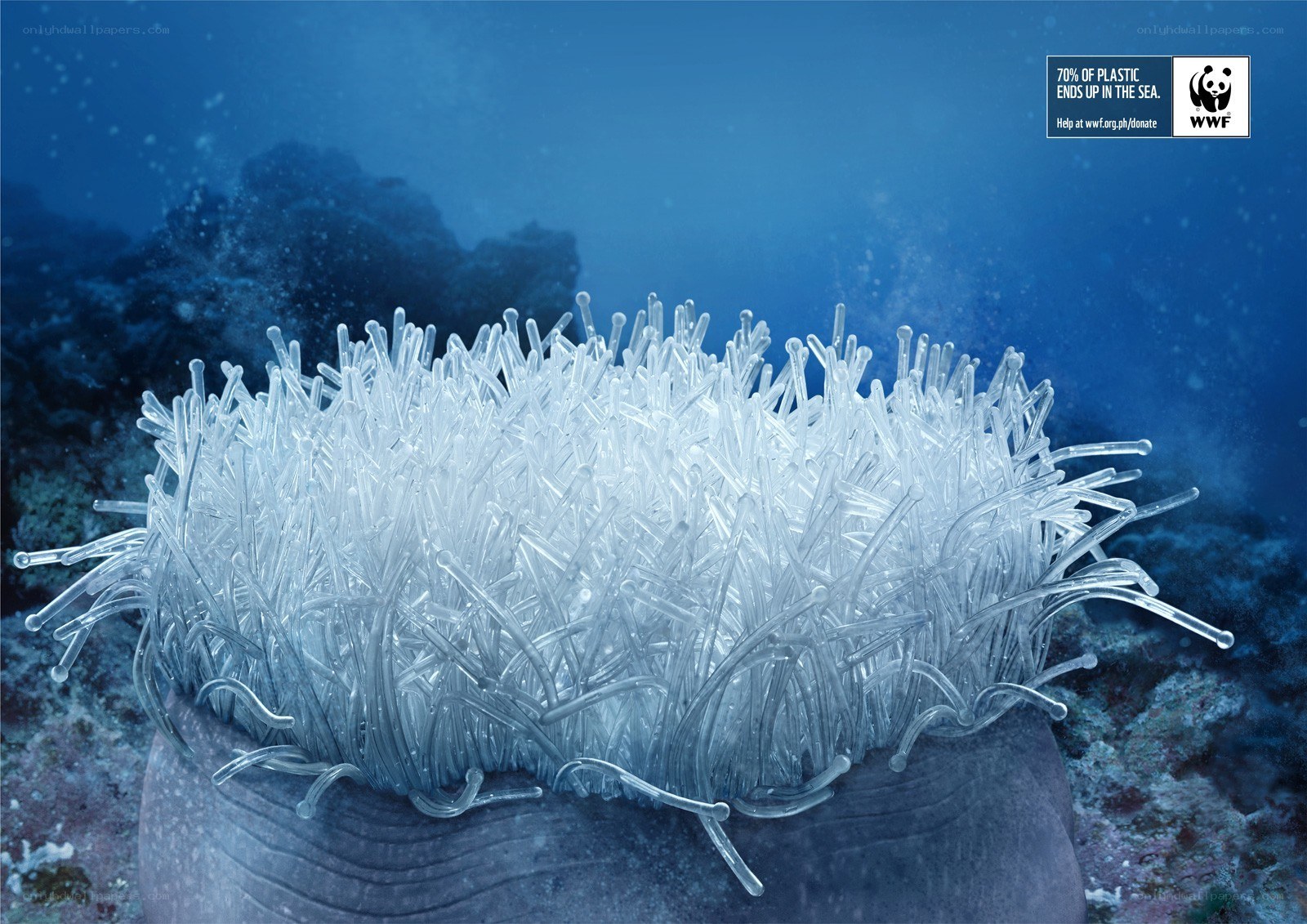 Plastic pollution in the ocean