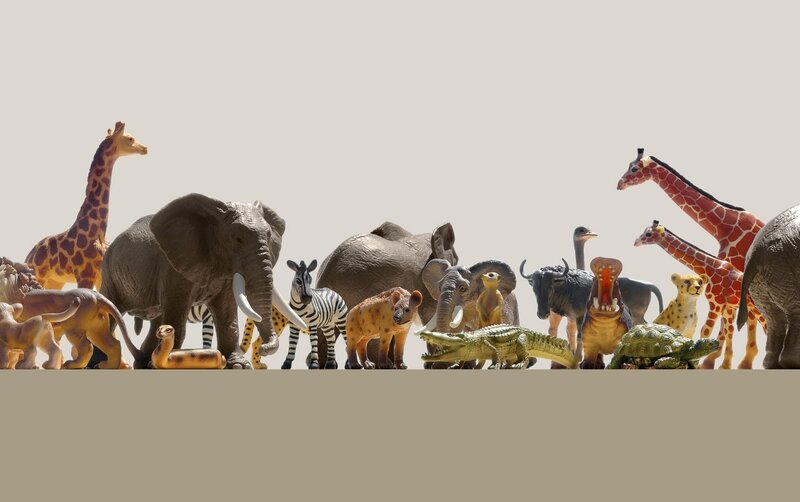 Plastic Toy Animals