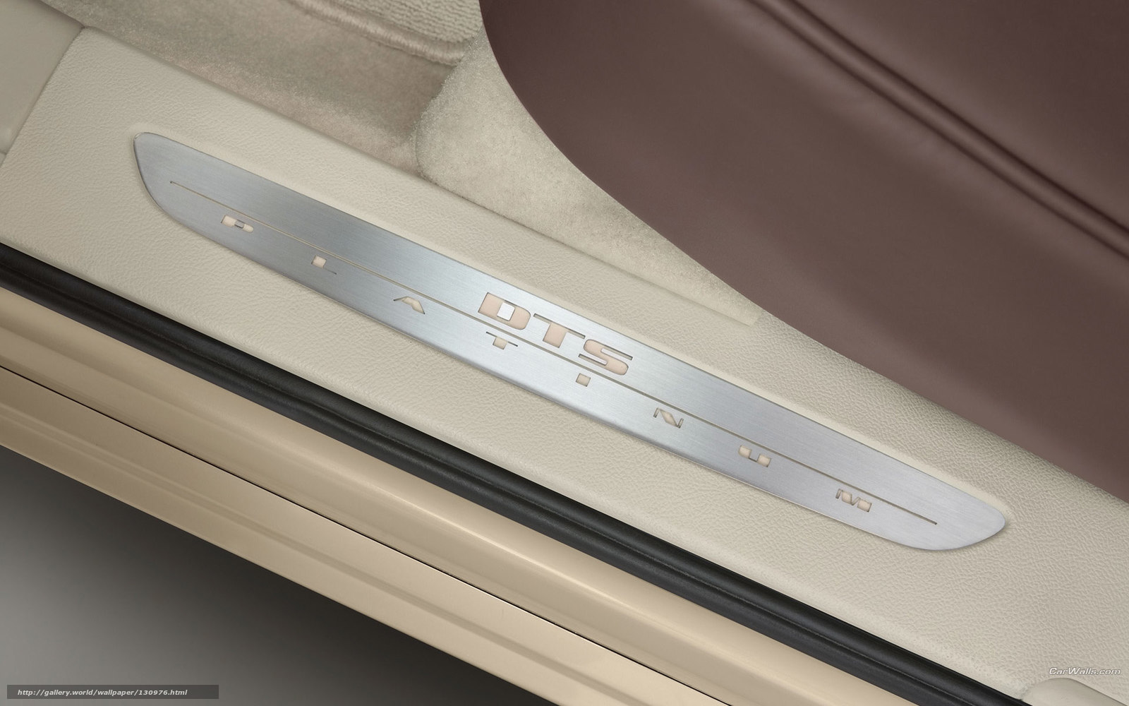 Platinum DTS door sill plate