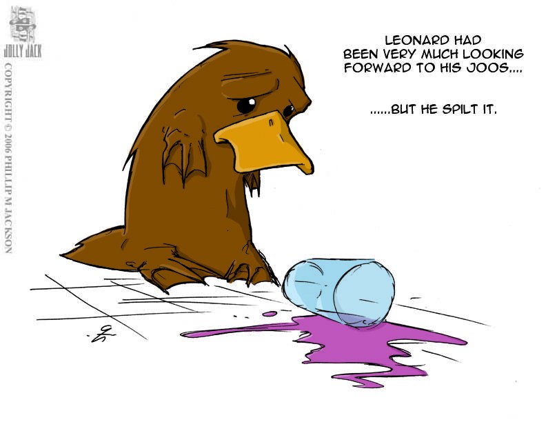 Platypus spills drink