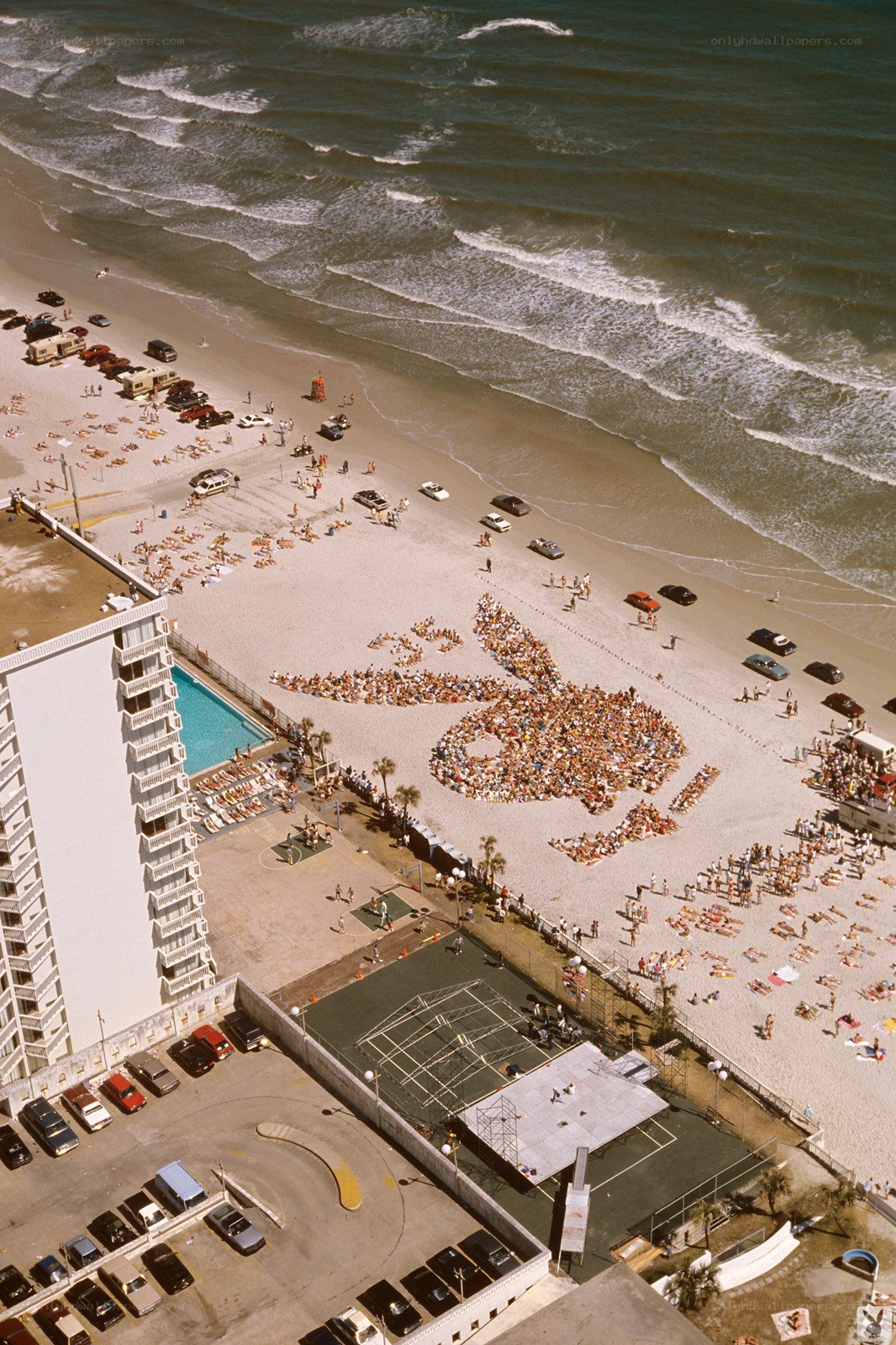 Playboy Bunny Formation on Beach