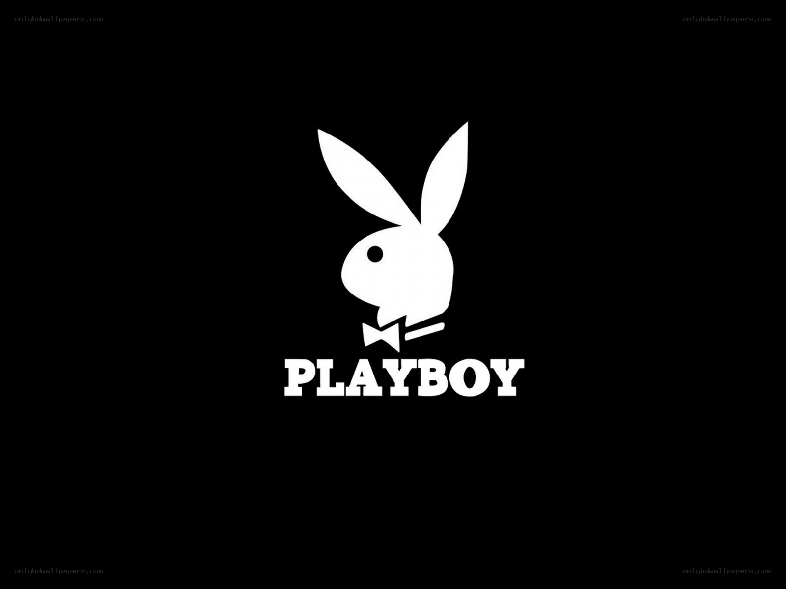 Playboy logo on black