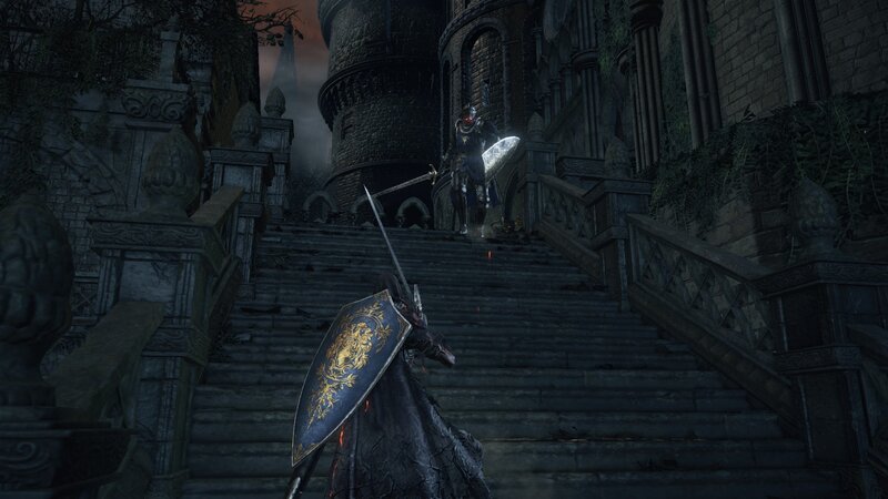 Player Character Facing Knight