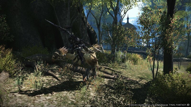 Player on Chocobo Mount