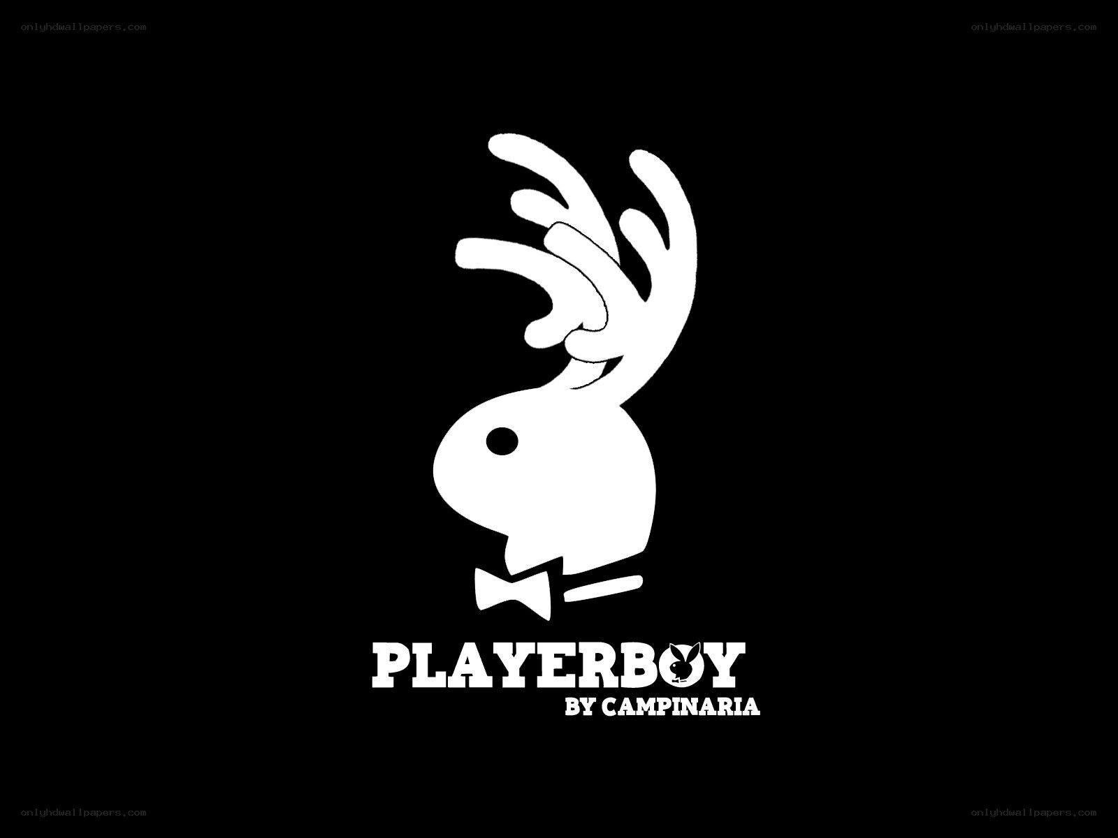 Playerboy by Campinaria logo