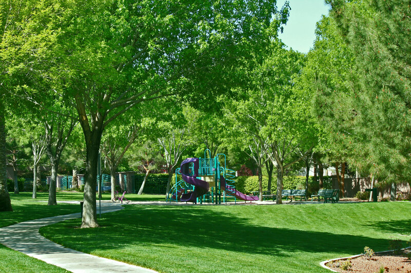 Playground in Park