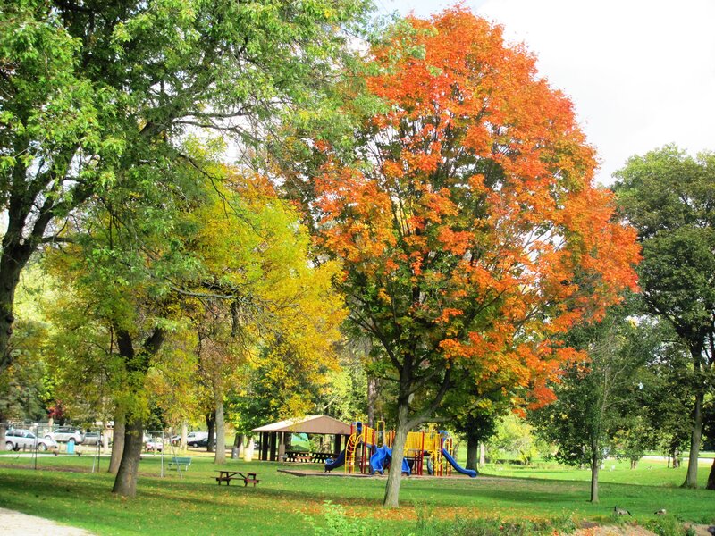 Playground with Autumn Trees