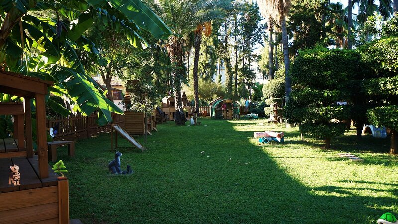 Playground with Wooden Structures