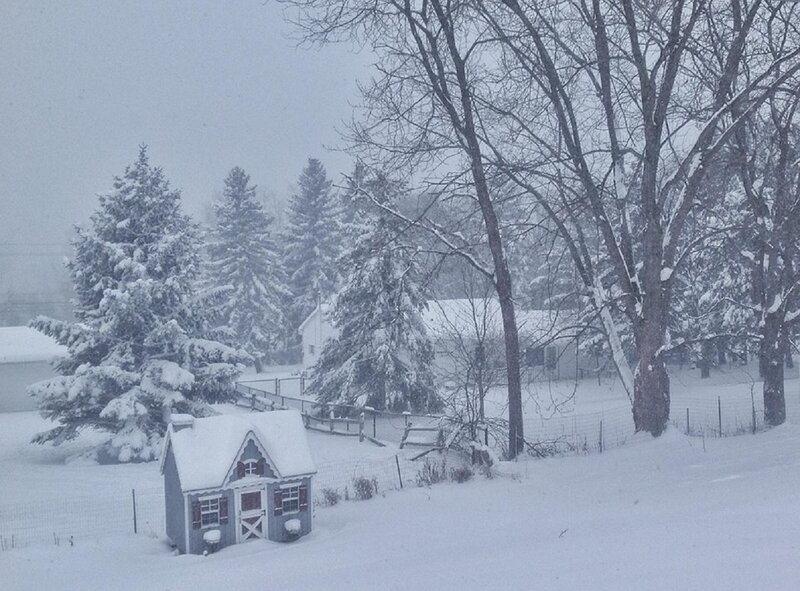 Playhouse in Snow