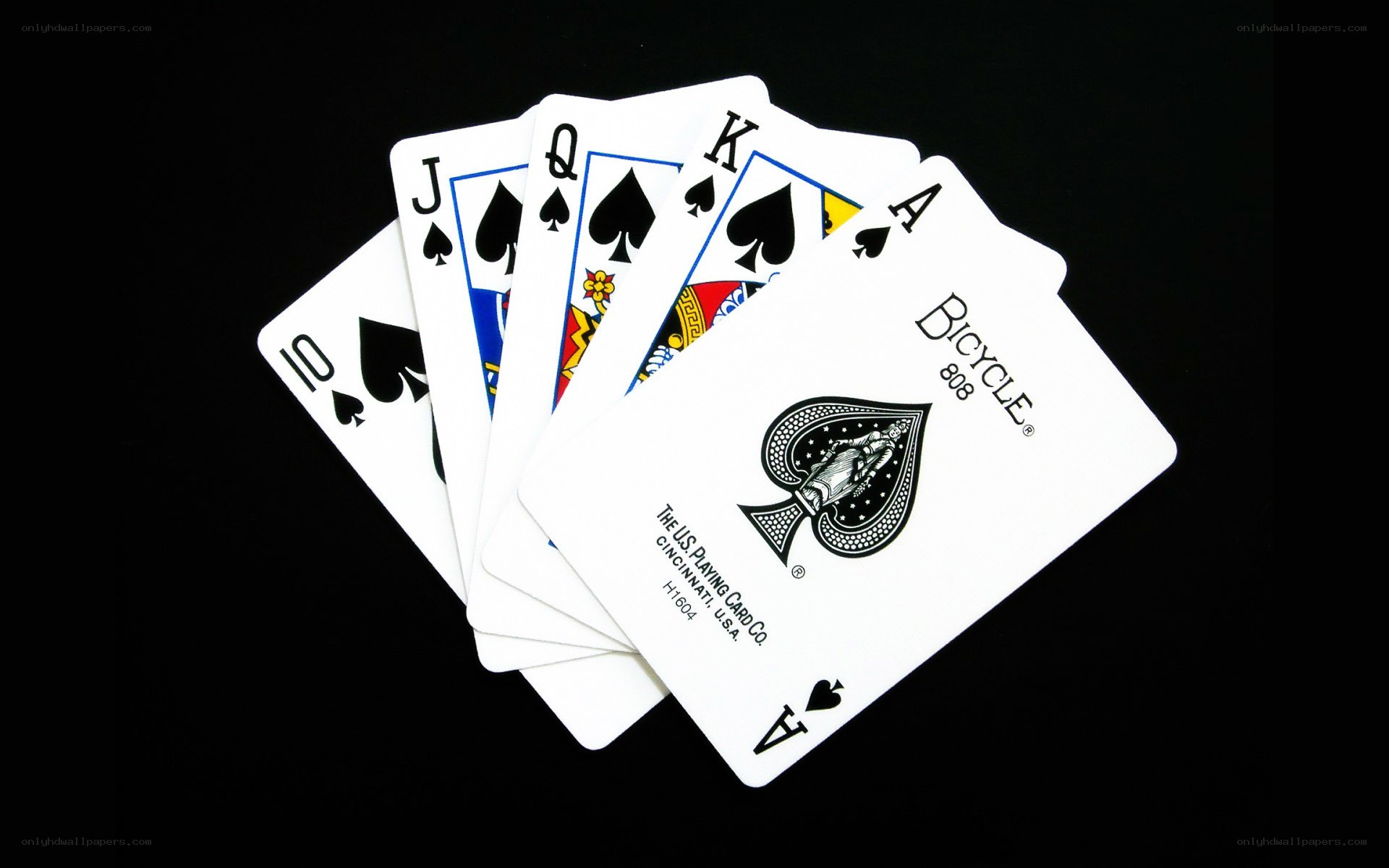 playing cards in a fan