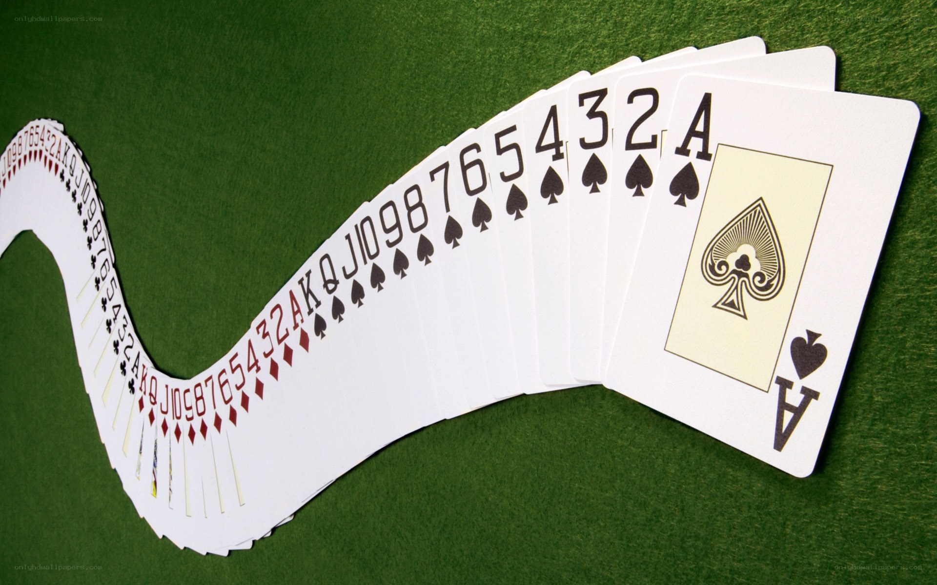 Playing cards in a fan
