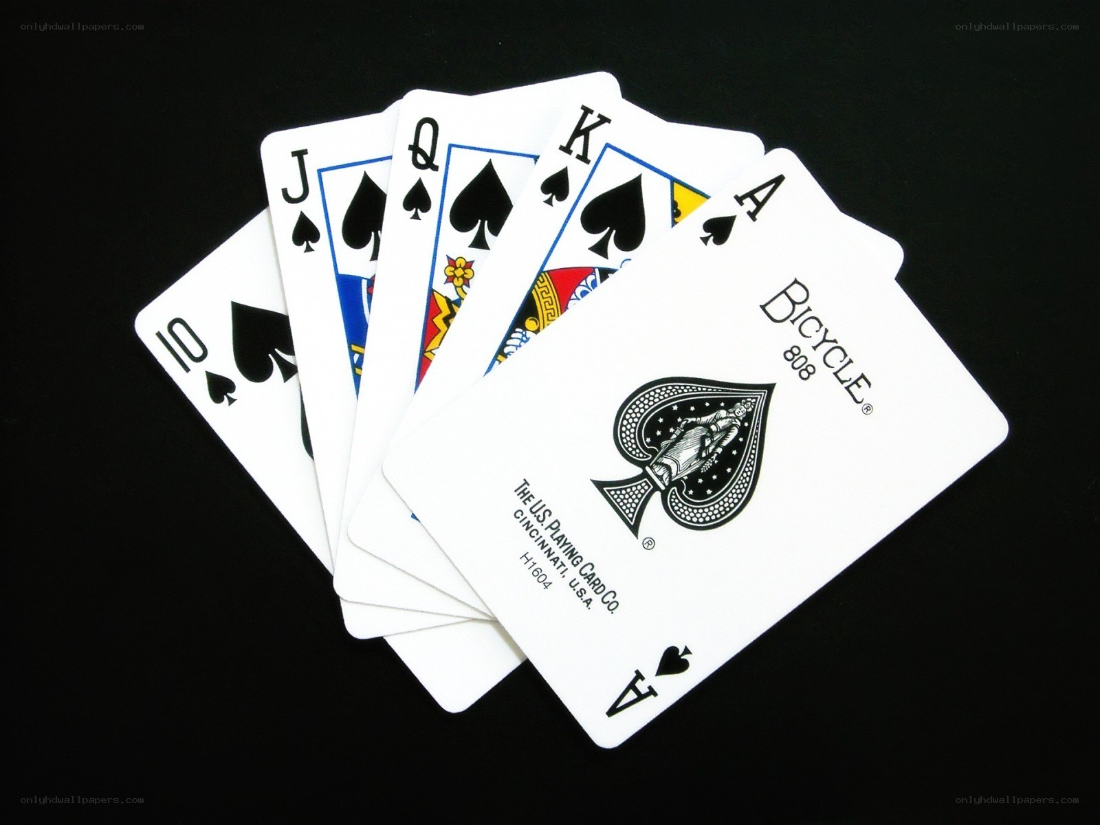 playing cards in a fan