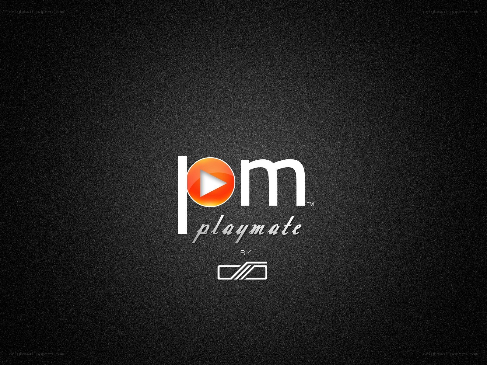Playmate logo on dark background