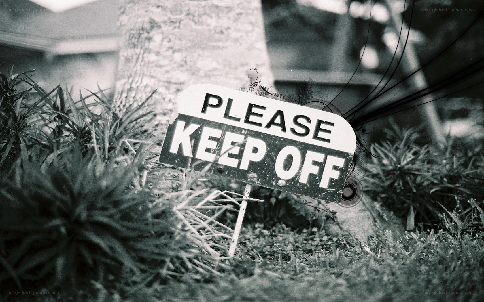 Please Keep Off sign in garden