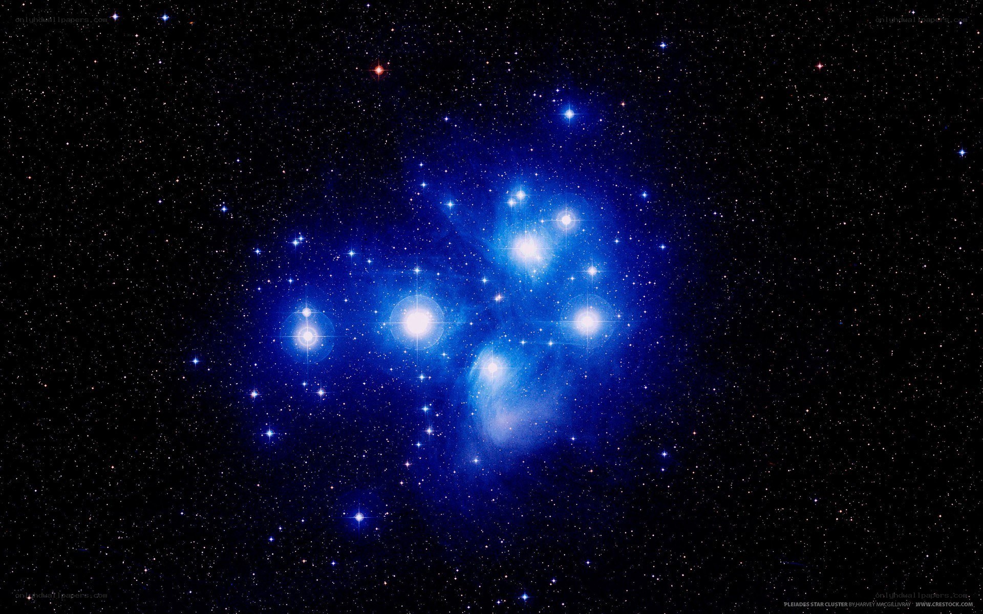 Pleiades star cluster