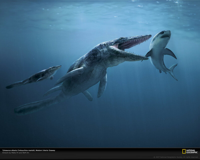 Plesiosaur attacks shark