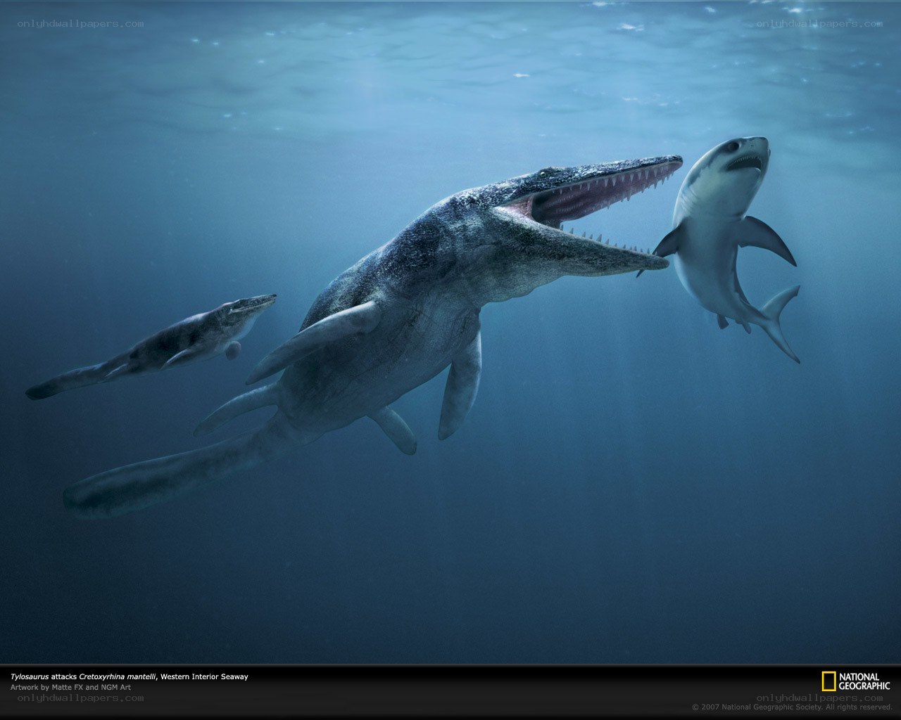 Plesiosaur attacks shark