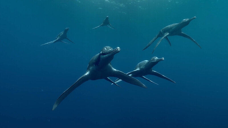 Plesiosaur group swimming