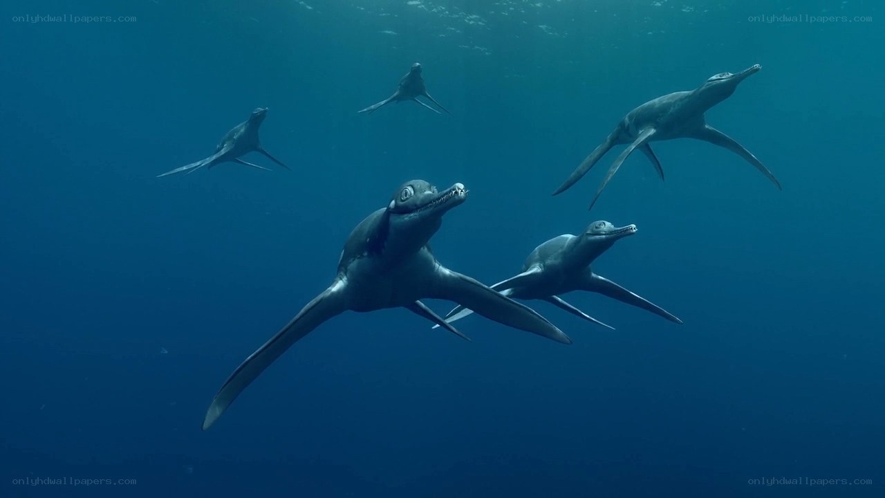 Plesiosaur group swimming