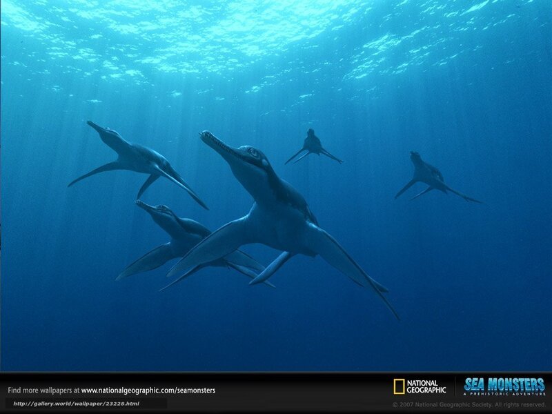 Plesiosaur group swimming
