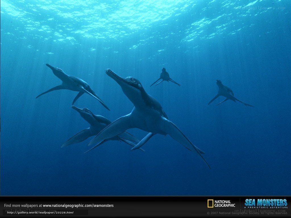 Plesiosaur group swimming