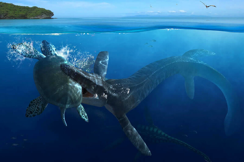 Plesiosaur hunting turtle