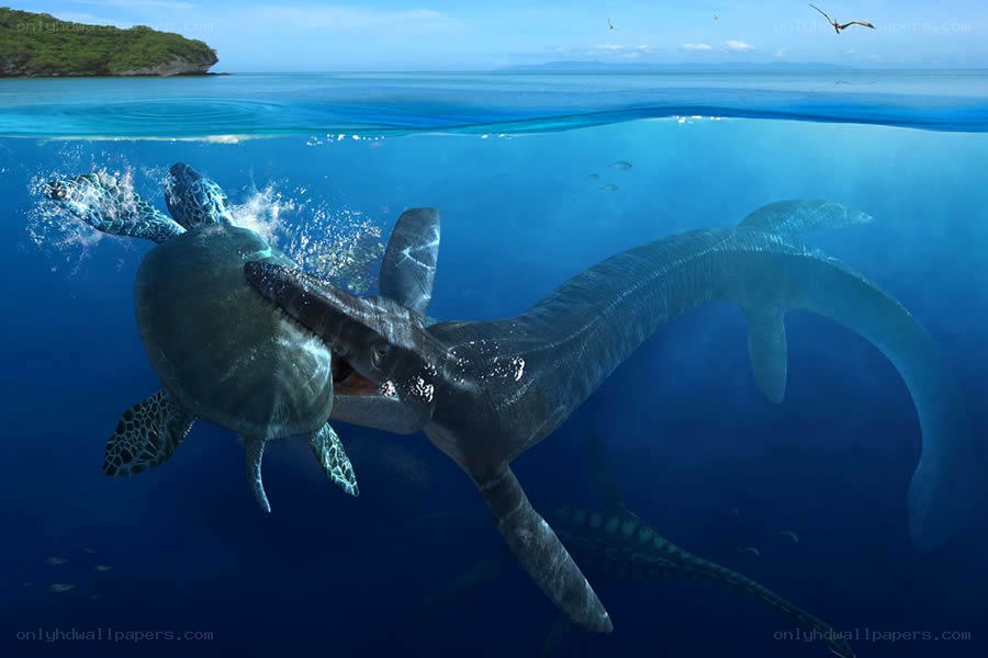 Plesiosaur hunting turtle