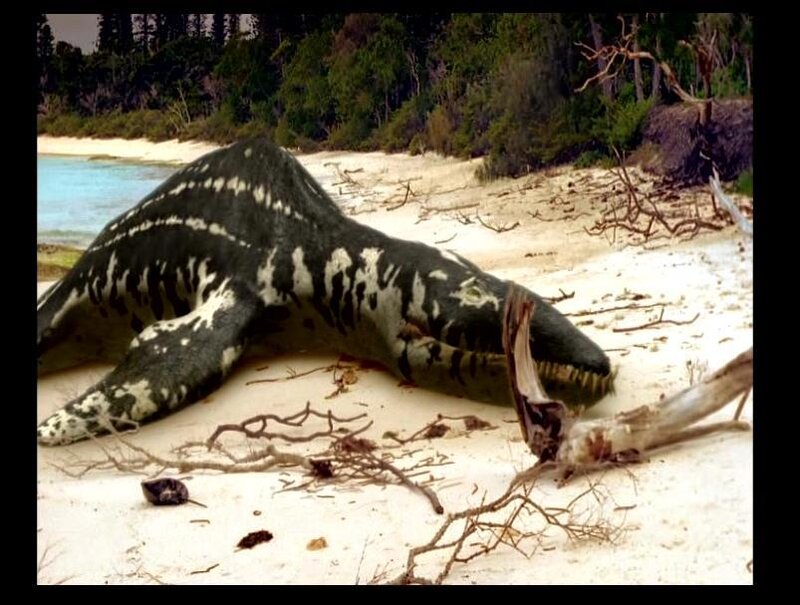 Plesiosaur on a beach