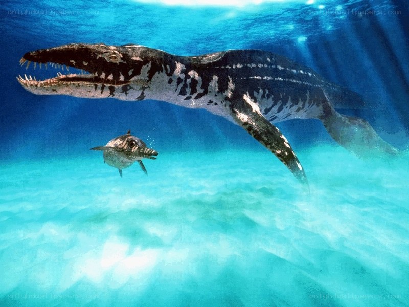 Plesiosaur swimming underwater