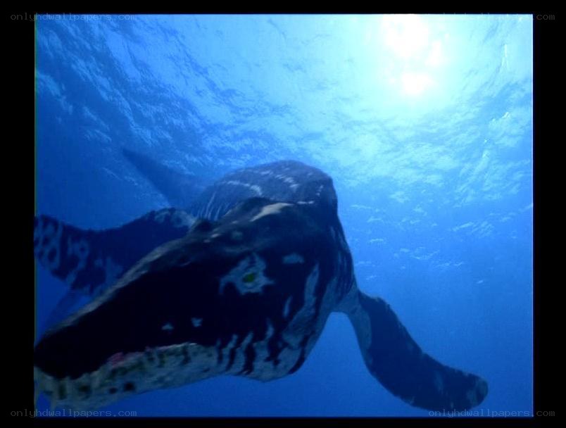 Plesiosaur swimming underwater