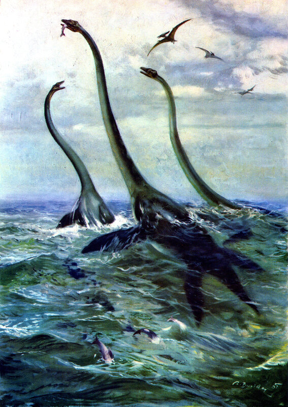 Plesiosaurs hunting in the ocean