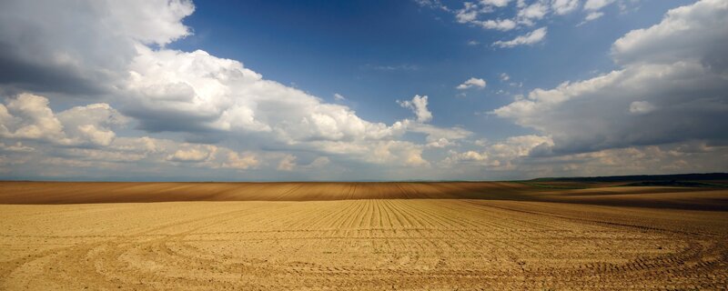 Plowed Agricultural Field — Brown, Dramatic