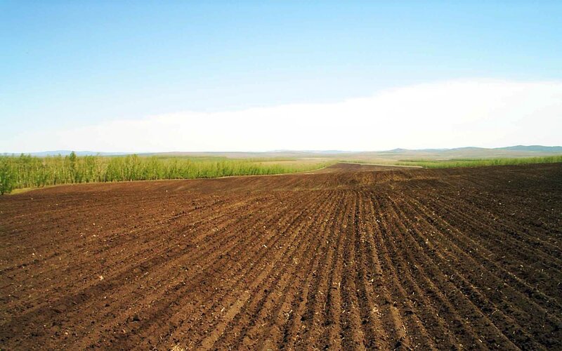 Plowed Agricultural Field — Brown, Serene, Afternoon