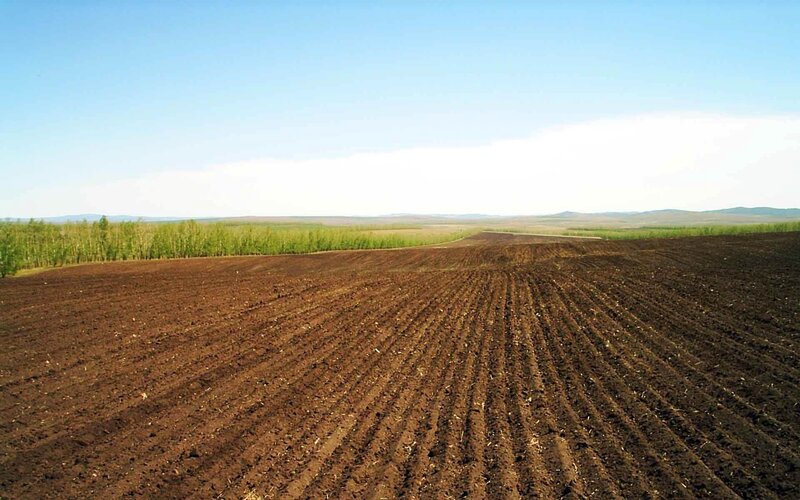 Plowed Agricultural Field — Brown, Serene