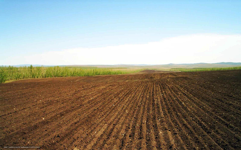 Plowed Agricultural Field — Brown