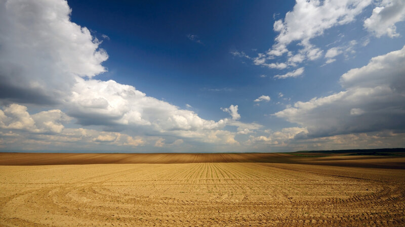 Plowed Agricultural Field