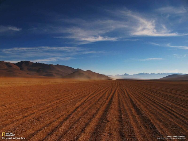 Plowed Desert Field