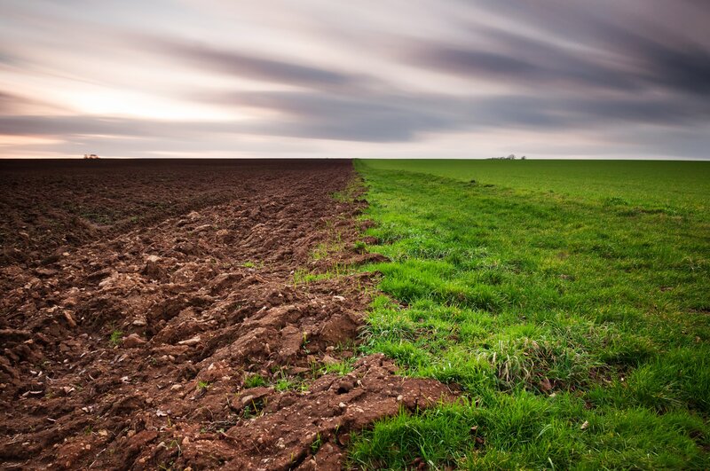 Plowed Field and Grass — Brown