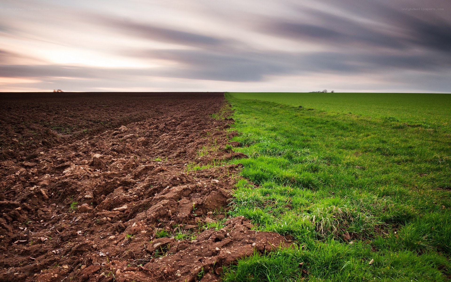 Plowed field and green grass