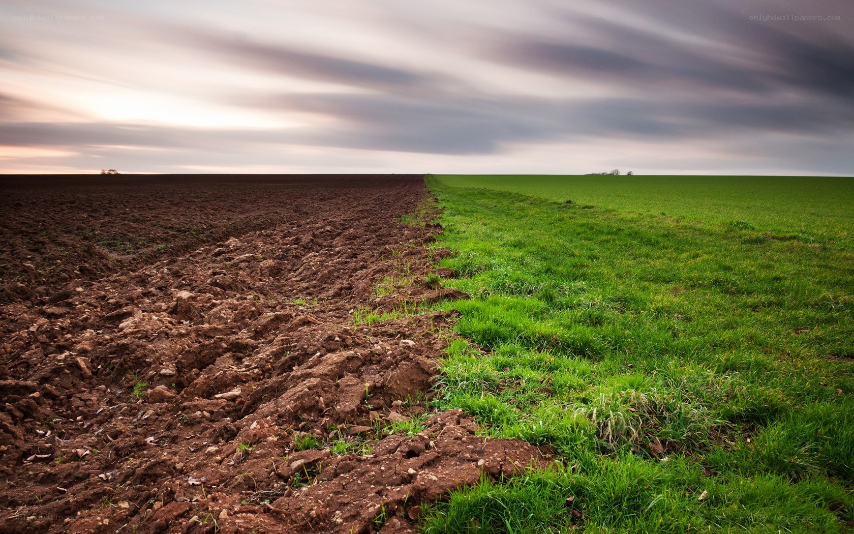 Plowed field and green grass
