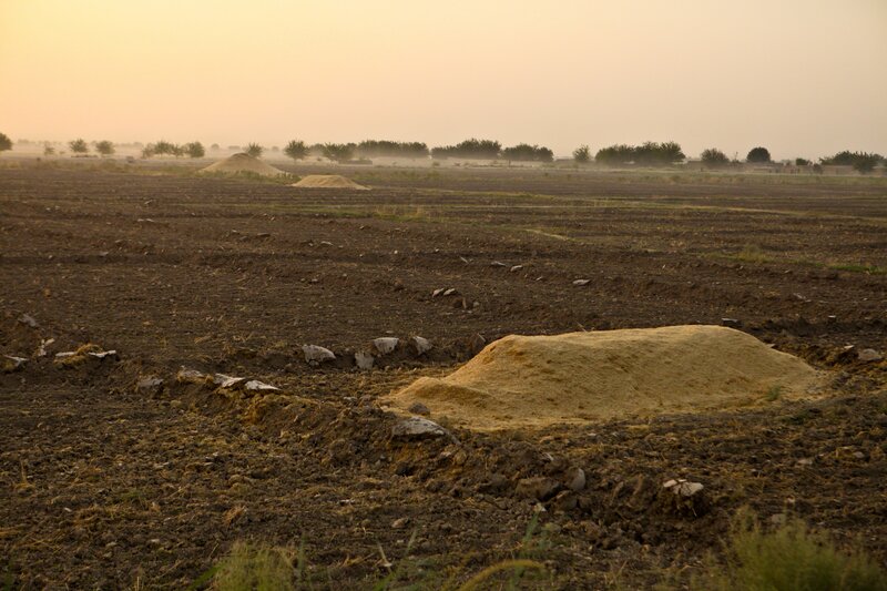 Plowed field at dusk