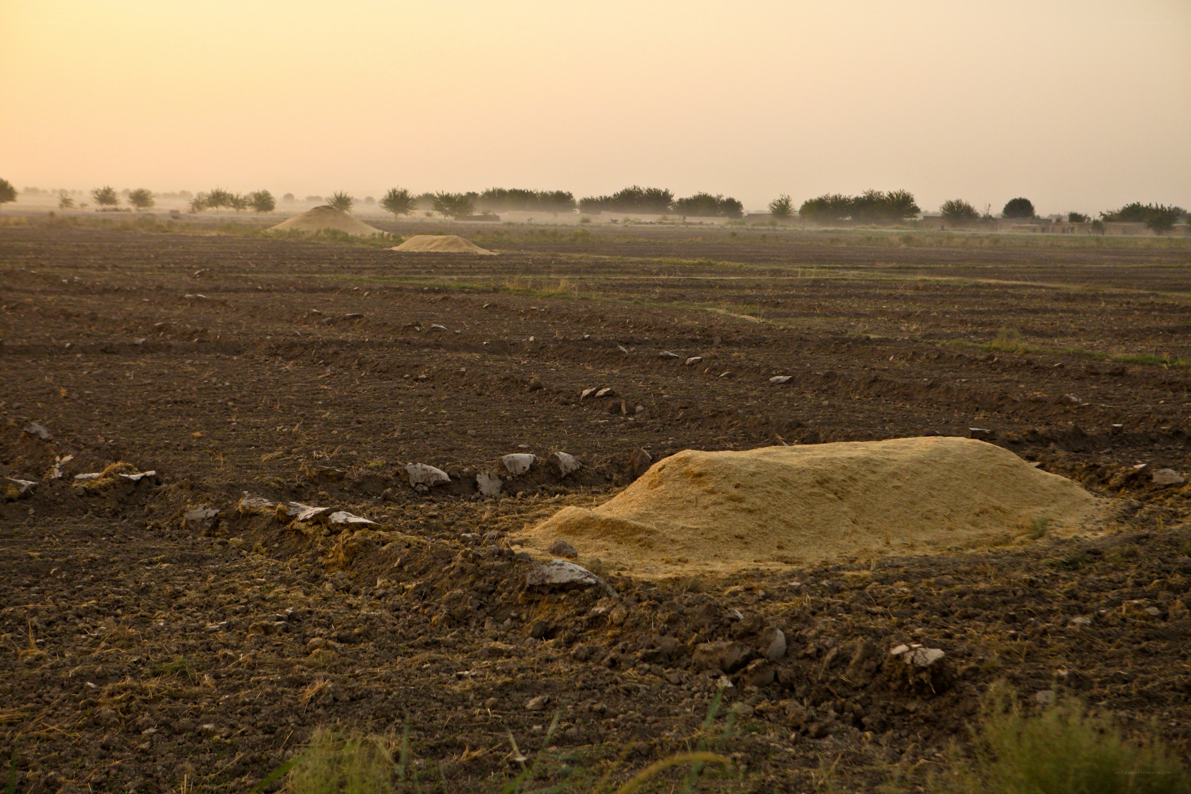 Plowed field at dusk