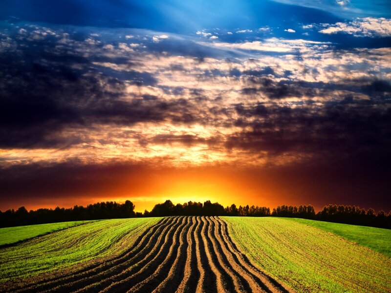 Plowed Field at Sunset — Blue
