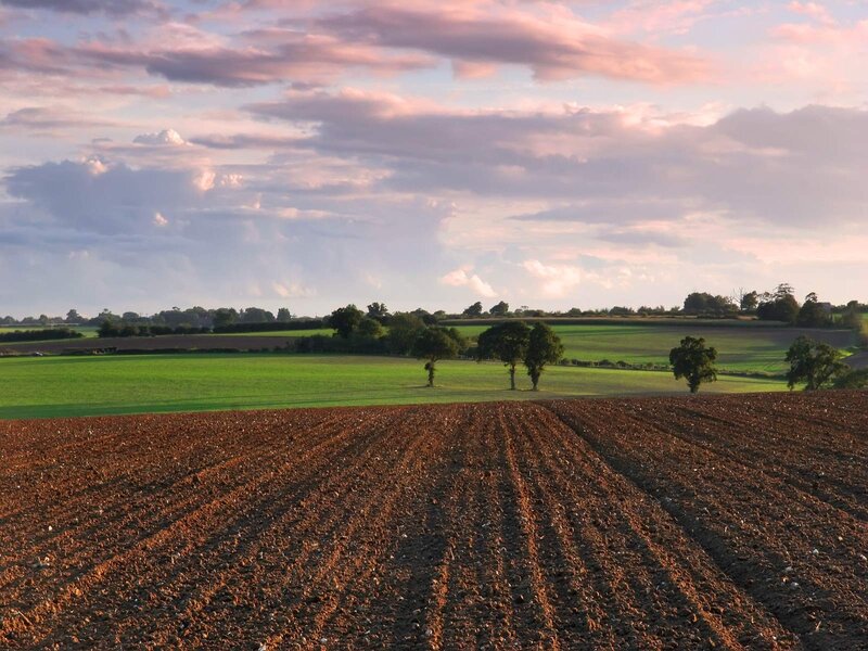 Plowed Field at Sunset — Brown, Serene, Photograph