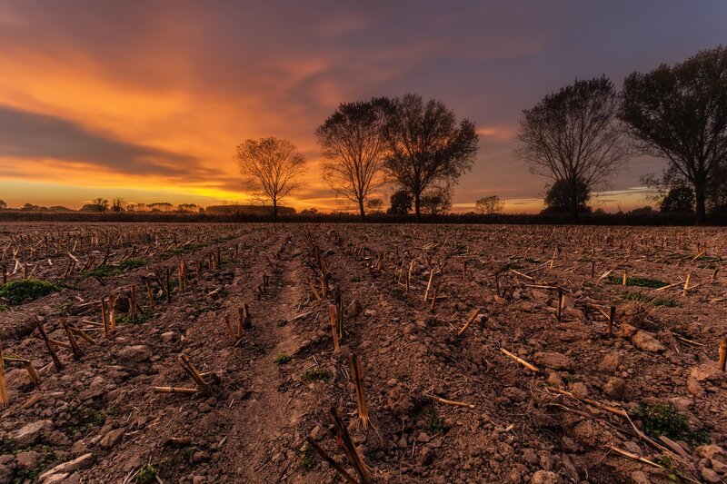 Plowed Field at Sunset — Orange