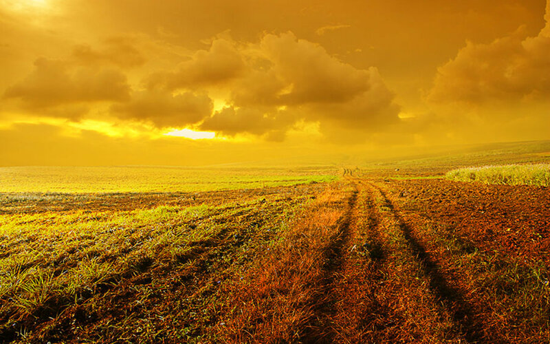 Plowed Field at Sunset — Yellow
