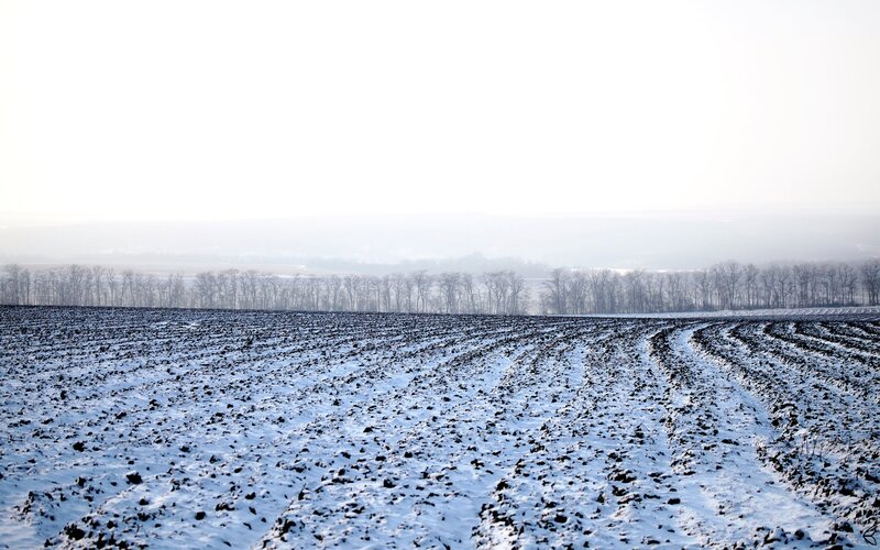 Plowed Field in Winter