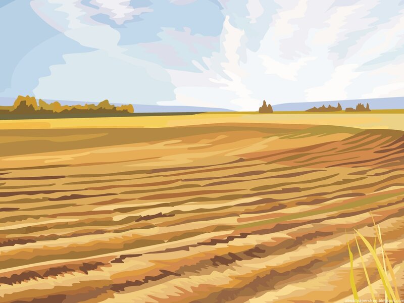 Plowed Field Landscape