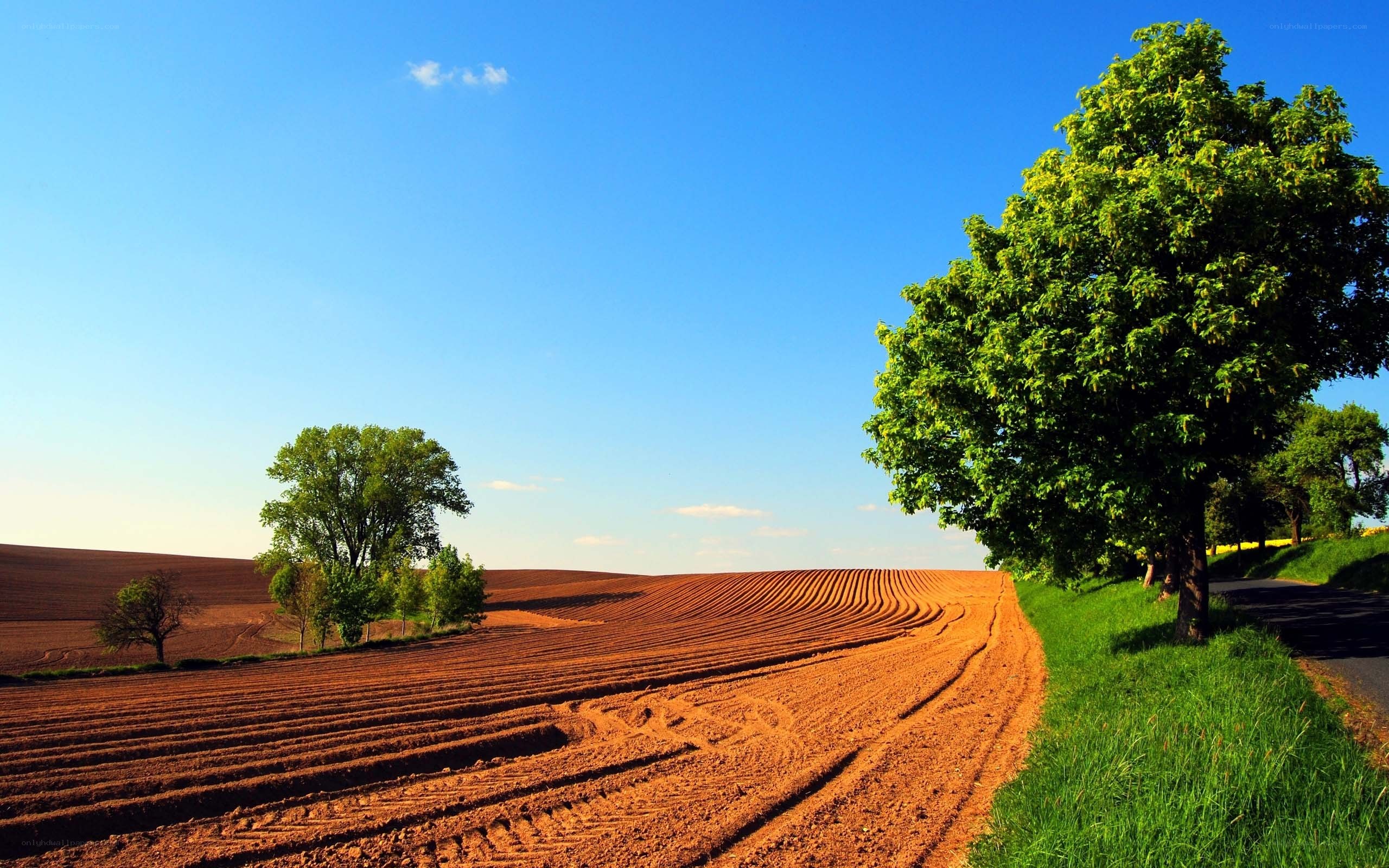 Plowed field under blue sky