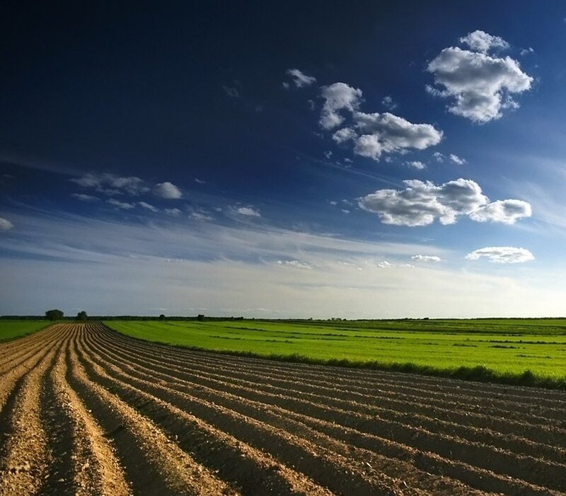 Plowed field under blue sky